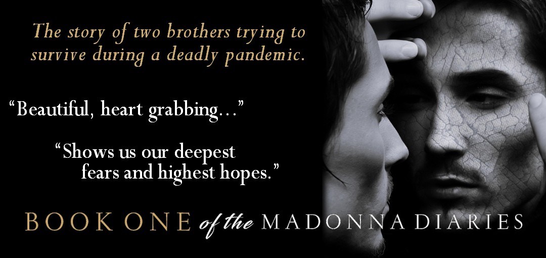 The Madonna Diaries by S. S. Bazinet